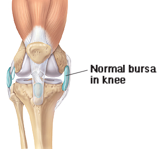 Normal bursa in knee