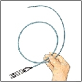 The electrode catheter is a thin, flexible, coated wire